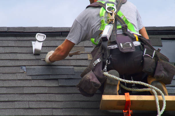 Best Storm Damage Roof Repair  in York, AL