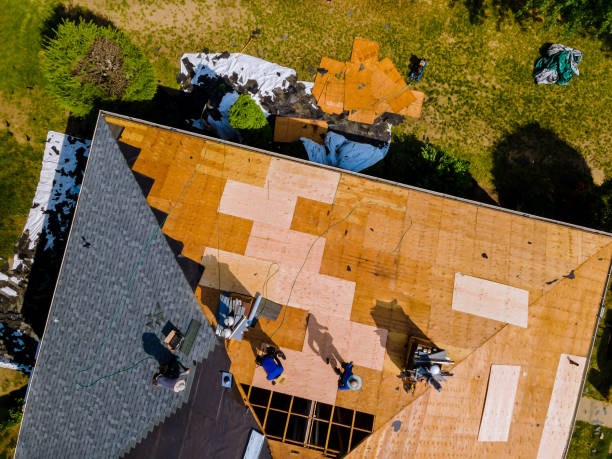 Best Roof Restoration Services  in York, AL