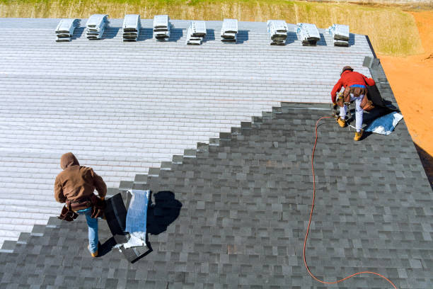 Best Storm Damage Roof Repair  in York, AL