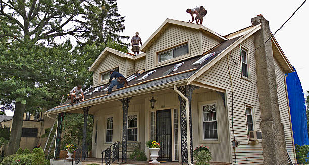 Best Local Roofing Companies  in York, AL